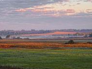 Рожаївка з panoramio.com