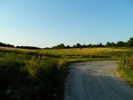 Зарванці з panoramio.com - Зарванцы