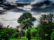 Гоголів з panoramio.com