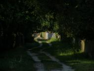 Гайове з panoramio.com