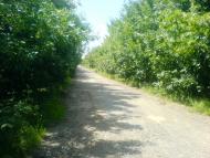 Перехрестя з panoramio.com