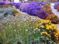 Судівка з panoramio.com