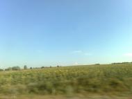 Широке з panoramio.com