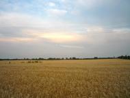 Ревне з panoramio.com