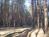 Грем'яче з panoramio.com