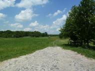 Кураж з panoramio.com