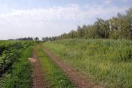 Булгаківка з panoramio.com