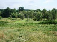 Язвинки з panoramio.com