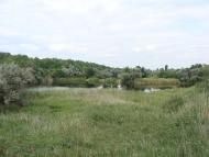 Катеринівка з panoramio.com