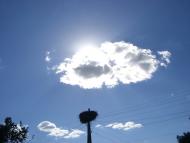 Черниш з panoramio.com