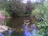 Стримівка з panoramio.com