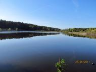 Верещиця з panoramio.com