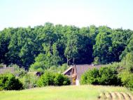 Антонівка з panoramio.com