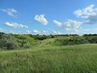 Стримівка з panoramio.com