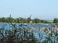 Дроговиж з panoramio.com