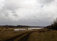 Новомар'янівське з panoramio.com