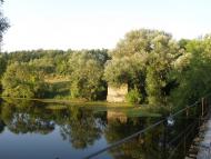 Вільха з panoramio.com