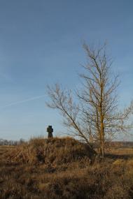 Трощин з panoramio.com