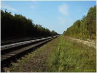 Великий Щимель з panoramio.com