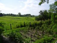 Сиваківці з panoramio.com