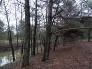 Куліші з panoramio.com