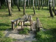 Бейзимівка з panoramio.com