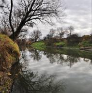 Липиці з panoramio.com