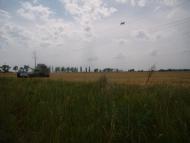 Лошкарівка з panoramio.com