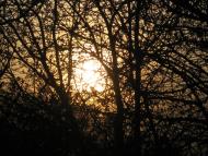 Гайове з panoramio.com