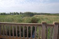 Булгаківка з panoramio.com
