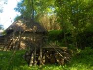 Виноградне - Останні фото