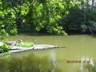 Суськ з panoramio.com