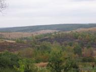 Таранівка з panoramio.com