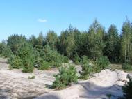 Грем'яче з panoramio.com