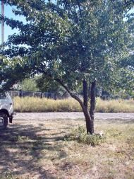 Фащівка з panoramio.com