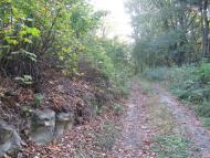 Горошівці з panoramio.com