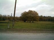 Базалія з panoramio.com