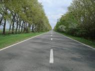 Музичі з panoramio.com