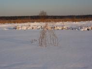 Романків з panoramio.com