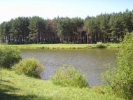 Козлин з panoramio.com