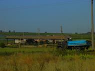 Мар'янське з panoramio.com