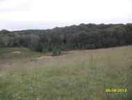 Вільшанка з panoramio.com