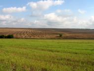 Адамівка з panoramio.com