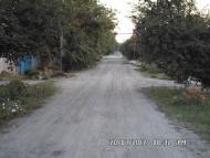 Кам'янка-Дніпровська з panoramio.com