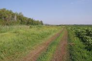 Булгаківка з panoramio.com