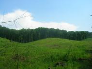 Володимирівка з panoramio.com