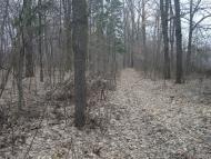 Лопатинці з panoramio.com