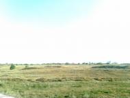 Широке з panoramio.com