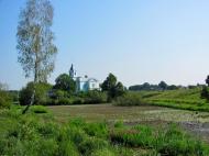 Кустин з panoramio.com