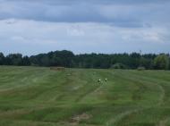 Музичі з panoramio.com